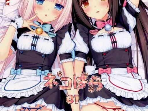 nekopara 01 cover