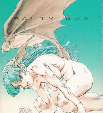salty box cover