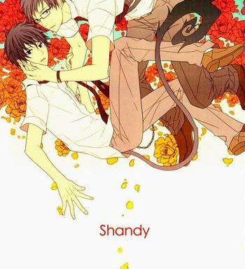 shandy cover
