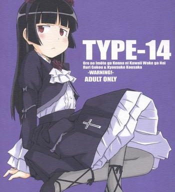 type 14 cover 1