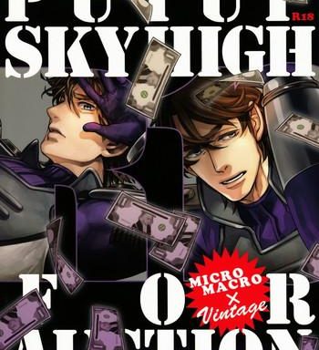 put up skyhigh for auction cover