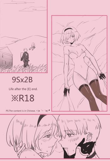 ws 9sx2b life after the e end nier automata chinese cover