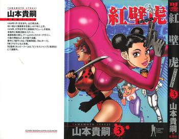 yamamoto atsuji hon pi fu vol 3 cover