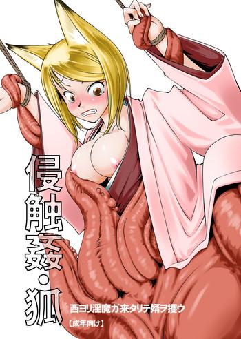 shinshokukan kitsune cover