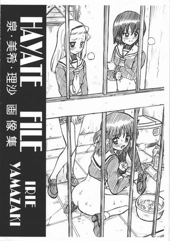 hayate file izumi miki risa gazoushuu cover