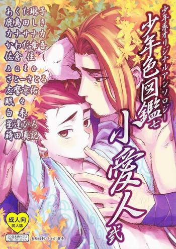 shounen iro zukan 7 cover